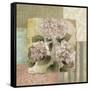 Botanical Hydrangeas-Elizabeth Medley-Framed Stretched Canvas