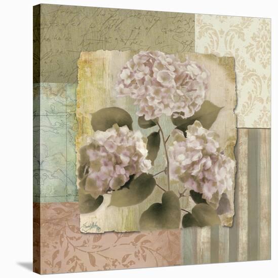 Botanical Hydrangeas-Elizabeth Medley-Stretched Canvas