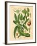 Botanical I-N. Harbick-Framed Art Print