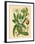 Botanical I-N. Harbick-Framed Art Print