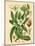 Botanical I-N. Harbick-Mounted Art Print