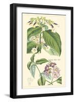 Botanical II-Jacob Dietrich-Framed Art Print