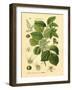 Botanical II-N. Harbick-Framed Art Print