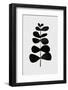 Botanical II-Orara Studio-Framed Photographic Print