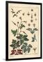 Botanical Illustration of a Geranium Flower, Petals, Leaves, 1897 (Lithograph)-Eugene Grasset-Framed Giclee Print