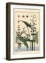 Botanical Illustration of the Arrowhead, Sagittaria Sagittifolia, 1897 (Lithograph)-Eugene Grasset-Framed Giclee Print