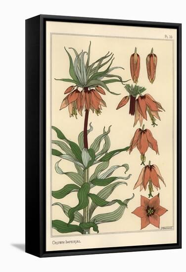 Botanical Illustration of the Crown Imperial Flower, Fritillaria Imperialis, 1897 (Lithograph)-Eugene Grasset-Framed Stretched Canvas