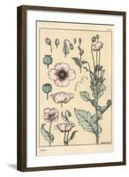 Botanical Illustration of the Poppy, with Flower Parts, Opium Pod, 1897 (Lithograph)-Eugene Grasset-Framed Giclee Print