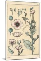 Botanical Illustration of the Poppy, with Flower Parts, Opium Pod, 1897 (Lithograph)-Eugene Grasset-Mounted Giclee Print