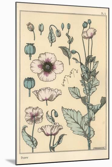 Botanical Illustration of the Poppy, with Flower Parts, Opium Pod, 1897 (Lithograph)-Eugene Grasset-Mounted Giclee Print