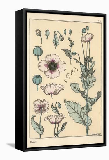 Botanical Illustration of the Poppy, with Flower Parts, Opium Pod, 1897 (Lithograph)-Eugene Grasset-Framed Stretched Canvas