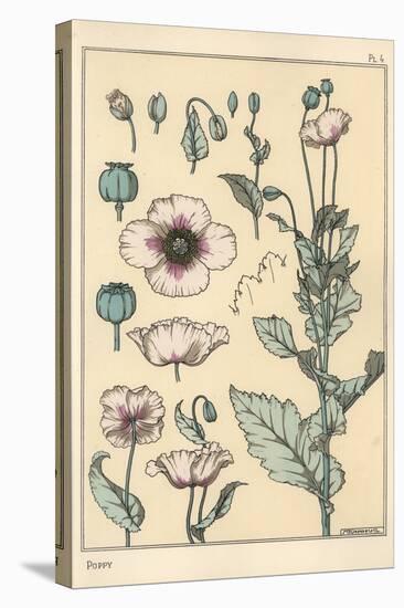 Botanical Illustration of the Poppy, with Flower Parts, Opium Pod, 1897 (Lithograph)-Eugene Grasset-Stretched Canvas