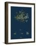 Botanical Illustration-null-Framed Giclee Print