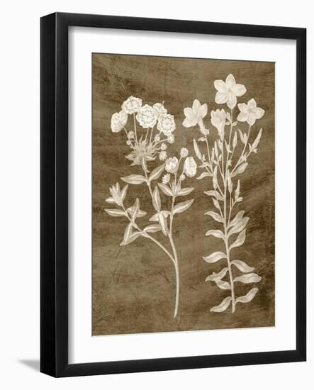 Botanical in Taupe I-Vision Studio-Framed Art Print