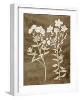 Botanical in Taupe I-Vision Studio-Framed Art Print