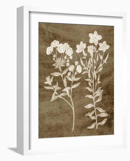 Botanical in Taupe I-Vision Studio-Framed Art Print