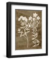 Botanical in Taupe I-Vision Studio-Framed Art Print