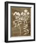 Botanical in Taupe I-Vision Studio-Framed Art Print