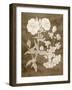 Botanical in Taupe II-Vision Studio-Framed Art Print