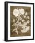 Botanical in Taupe II-Vision Studio-Framed Art Print