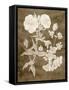 Botanical in Taupe II-Vision Studio-Framed Stretched Canvas