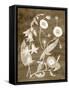 Botanical in Taupe III-Vision Studio-Framed Stretched Canvas