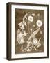 Botanical in Taupe III-Vision Studio-Framed Art Print