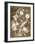 Botanical in Taupe III-Vision Studio-Framed Art Print