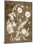 Botanical in Taupe III-Vision Studio-Mounted Art Print