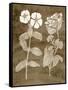 Botanical in Taupe IV-Vision Studio-Framed Stretched Canvas