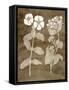 Botanical in Taupe IV-Vision Studio-Framed Stretched Canvas