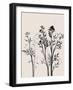 Botanical Inspiration 1-Doris Charest-Framed Art Print