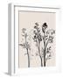 Botanical Inspiration 1-Doris Charest-Framed Art Print