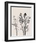 Botanical Inspiration 1-Doris Charest-Framed Art Print