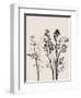 Botanical Inspiration 1-Doris Charest-Framed Art Print