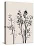 Botanical Inspiration 1-Doris Charest-Stretched Canvas