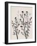 Botanical Inspiration 2-Doris Charest-Framed Art Print