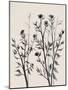 Botanical Inspiration 2-Doris Charest-Mounted Art Print