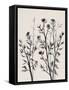 Botanical Inspiration 2-Doris Charest-Framed Stretched Canvas