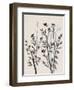 Botanical Inspiration 2-Doris Charest-Framed Art Print