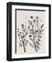 Botanical Inspiration 2-Doris Charest-Framed Art Print