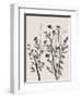 Botanical Inspiration 2-Doris Charest-Framed Art Print