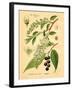 Botanical IV-N. Harbick-Framed Art Print