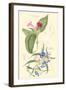 Botanical IV-Jacob Dietrich-Framed Art Print