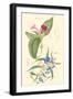 Botanical IV-Jacob Dietrich-Framed Art Print