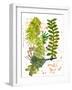 Botanical jungle-Sarah Thompson-Engels-Framed Giclee Print