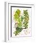 Botanical jungle-Sarah Thompson-Engels-Framed Giclee Print