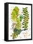 Botanical jungle-Sarah Thompson-Engels-Framed Stretched Canvas