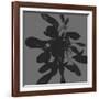 Botanical Light 1-Melody Hogan-Framed Art Print