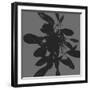 Botanical Light 1-Melody Hogan-Framed Art Print